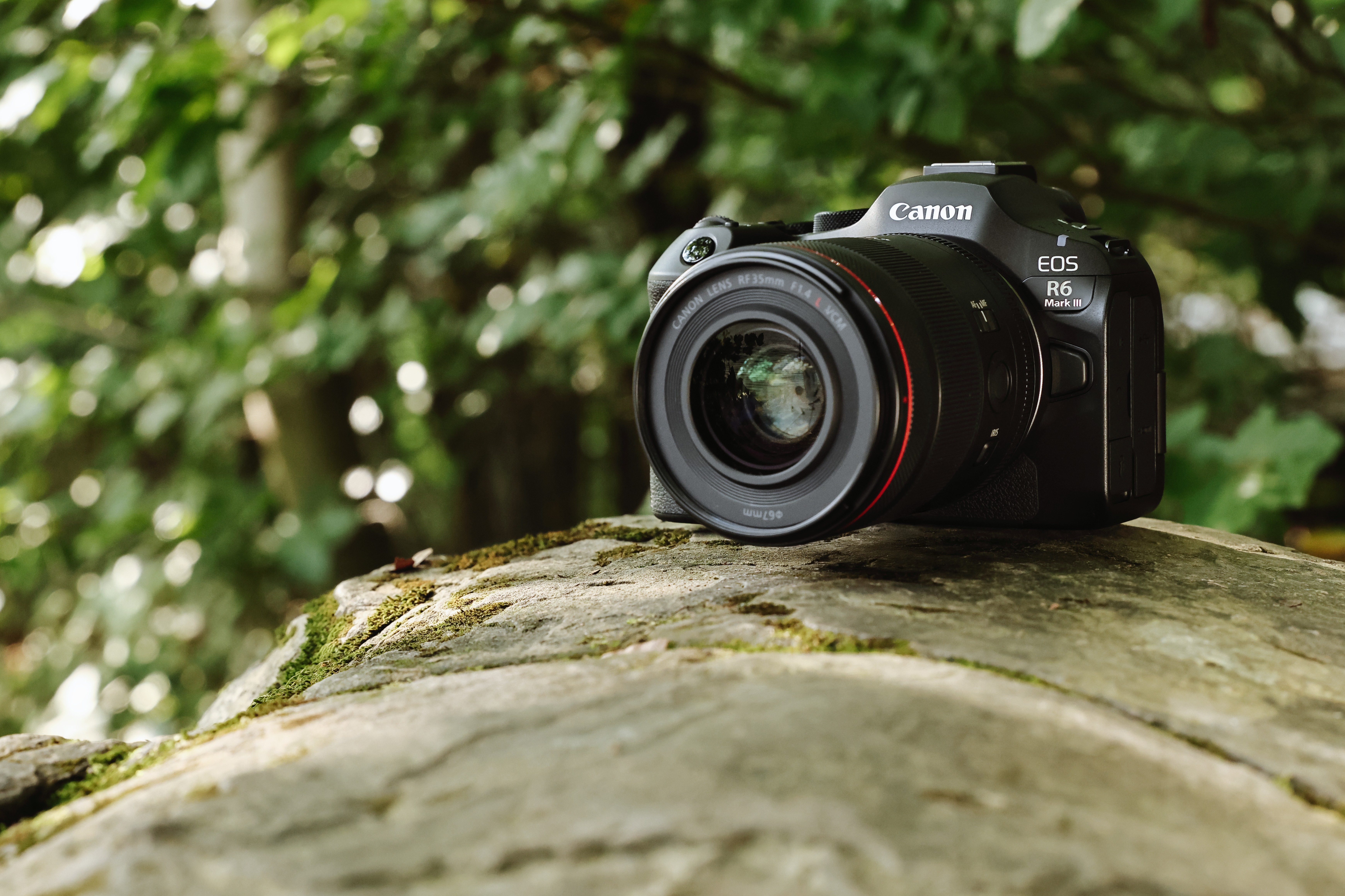 EOS R6 Mark III_Ambient