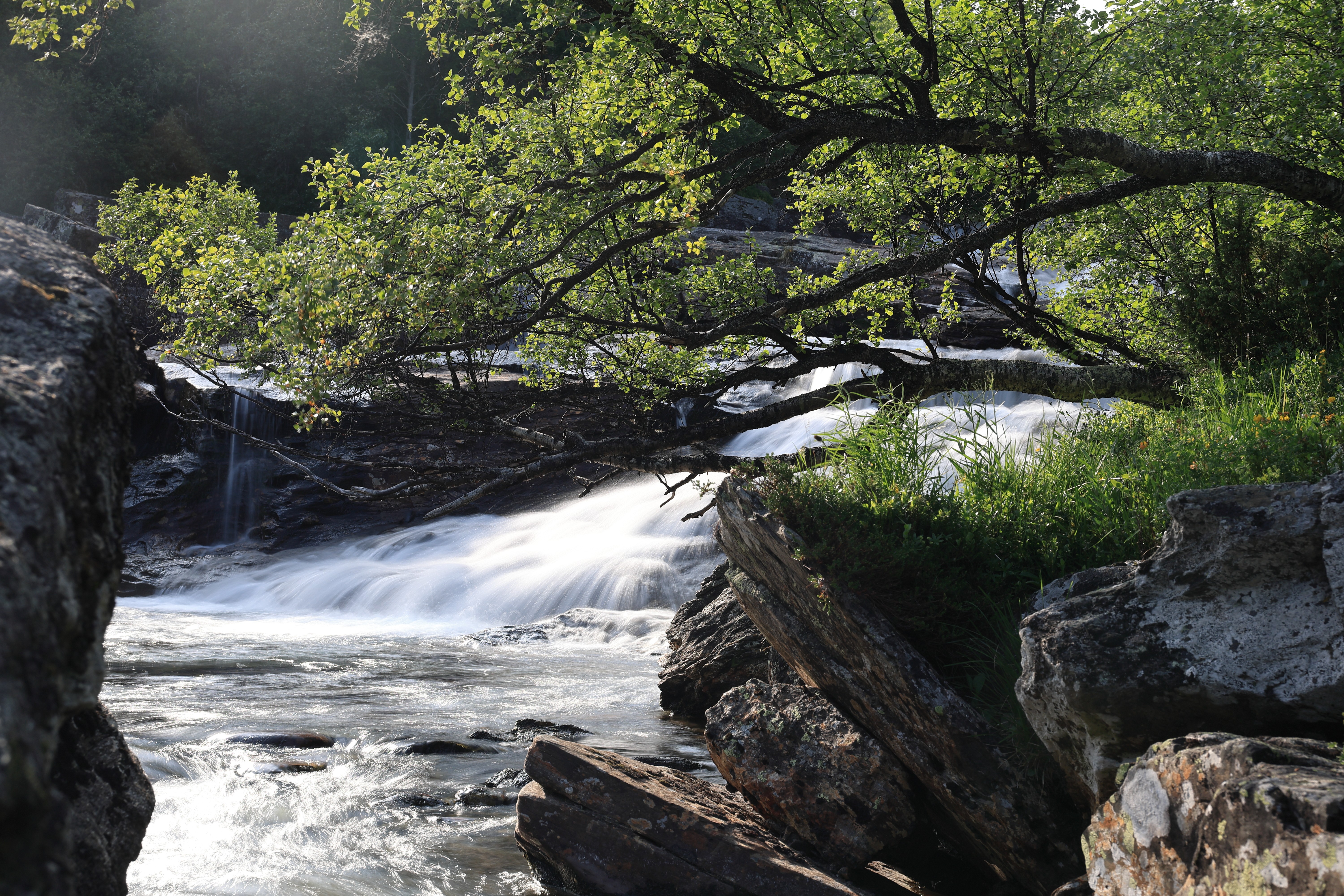Picture of a flowing stream 
