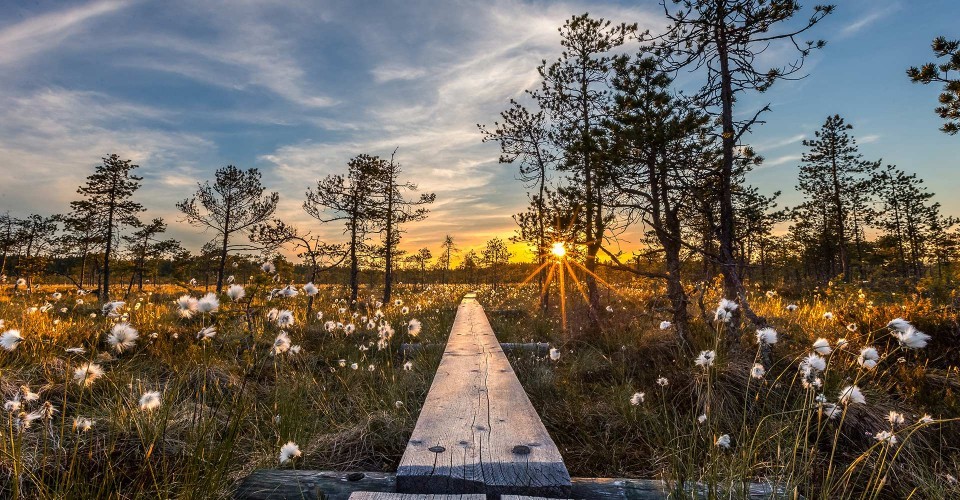 Nature Photography